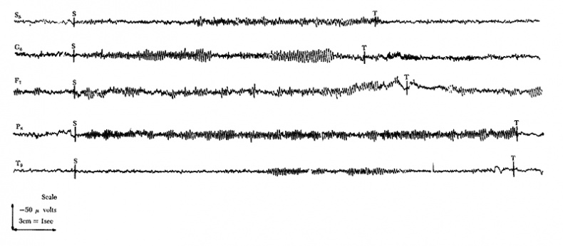 Иллюстрация к книге — Метод Сильвы. Управление разумом [_10.jpg]