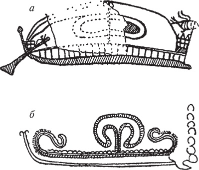 Иллюстрация к книге — Парусные корабли. История мореплавания и кораблестроения с древних времен до XIX века [i_034.jpg]