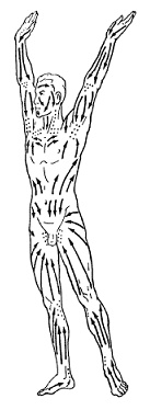 Иллюстрация к книге — Защити свое тело-3. Волшебные движения [i_027.jpg]