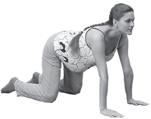 Иллюстрация к книге — Гармоничные роды – здоровые дети [Autogen_eBook_id65.jpg]