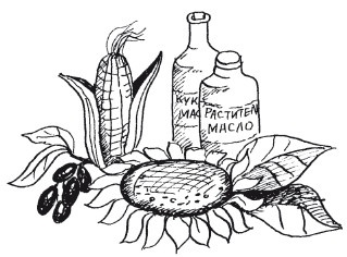 Иллюстрация к книге — Защити свое тело-2. Оптимальное питание [i_019.jpg]