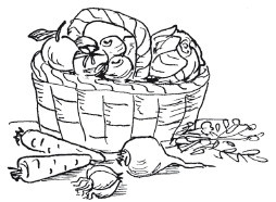 Иллюстрация к книге — Защити свое тело-2. Оптимальное питание [i_025.jpg]