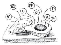 Иллюстрация к книге — Защити свое тело-2. Оптимальное питание [i_026.jpg]
