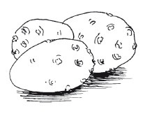 Иллюстрация к книге — Защити свое тело-2. Оптимальное питание [i_027.jpg]