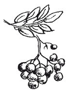 Иллюстрация к книге — Защити свое тело-2. Оптимальное питание [i_032.jpg]