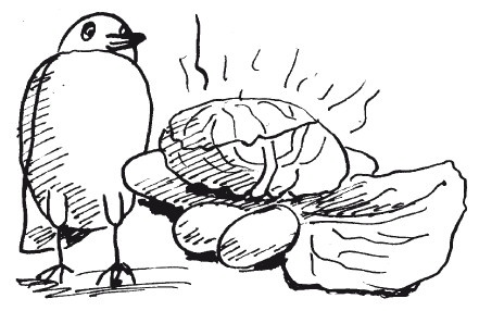 Иллюстрация к книге — Защити свое тело-2. Оптимальное питание [i_052.jpg]