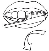 Иллюстрация к книге — Защити свое тело. Оптимальные методы очищения, укрепления и оздоровления [i_005.jpg]