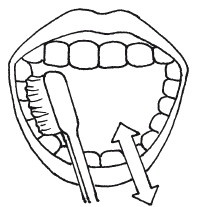 Иллюстрация к книге — Защити свое тело. Оптимальные методы очищения, укрепления и оздоровления [i_006.jpg]