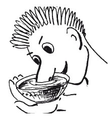 Иллюстрация к книге — Защити свое тело. Оптимальные методы очищения, укрепления и оздоровления [i_013.jpg]