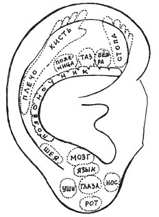 Иллюстрация к книге — Защити свое тело. Оптимальные методы очищения, укрепления и оздоровления [i_014.jpg]