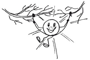 Иллюстрация к книге — Защити свое тело. Оптимальные методы очищения, укрепления и оздоровления [i_034.jpg]