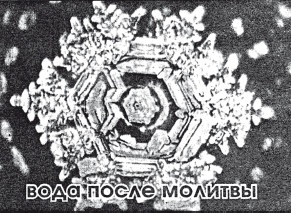 Иллюстрация к книге — Защити свое тело. Оптимальные методы очищения, укрепления и оздоровления [i_040.jpg]