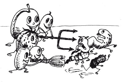 Иллюстрация к книге — Защити свое тело. Оптимальные методы очищения, укрепления и оздоровления [i_057.jpg]