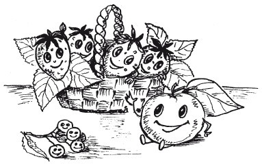 Иллюстрация к книге — Защити свое тело. Оптимальные методы очищения, укрепления и оздоровления [i_058.jpg]