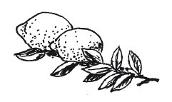 Иллюстрация к книге — Защити свое тело. Оптимальные методы очищения, укрепления и оздоровления [i_061.jpg]