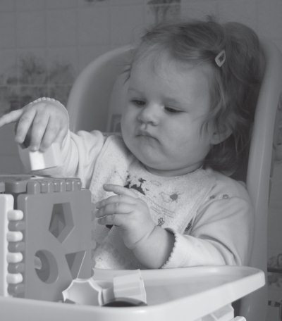 Иллюстрация к книге — Здоровые дети – счастливая семья [Autogen_eBook_id55.jpg]