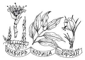 Иллюстрация к книге — Питание [Autogen_eBook_id41.jpg]