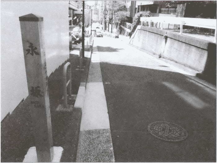 Иллюстрация к книге — Шпионский Токио [i_021.jpg]