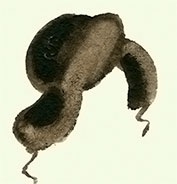 Иллюстрация к книге — Денискины рассказы: о том, как всё было на самом деле [i_072.jpg]