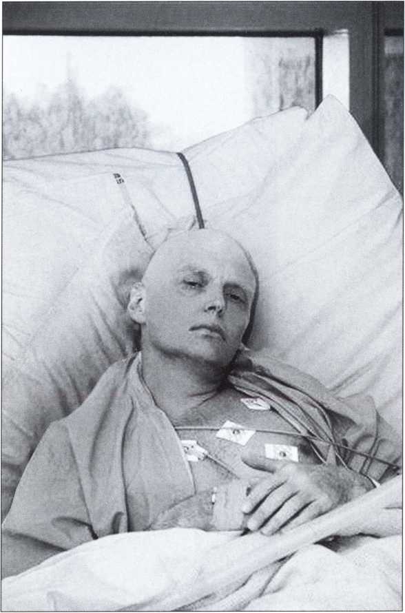 Иллюстрация к книге — Полоний в Лондоне [i_012.jpg]