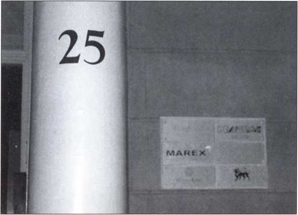 Иллюстрация к книге — Полоний в Лондоне [i_023.jpg]