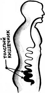 Иллюстрация к книге — Питание и долголетие [_01.jpg]