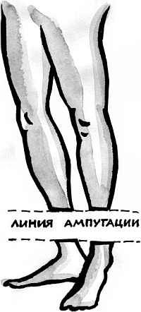 Иллюстрация к книге — Питание и долголетие [_03.jpg]