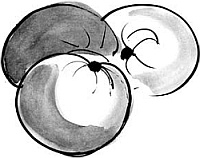 Иллюстрация к книге — Питание и долголетие [_101.jpg]