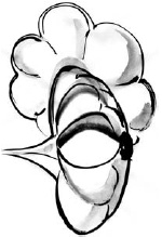 Иллюстрация к книге — Питание и долголетие [_105.jpg]