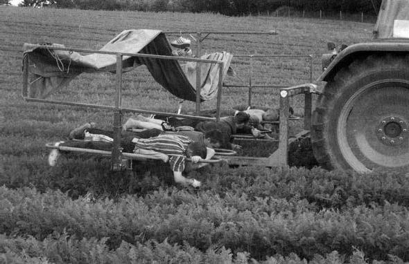 Иллюстрация к книге — Питание и долголетие [_111.jpg]