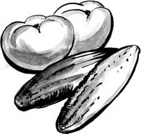 Иллюстрация к книге — Питание и долголетие [_117.jpg]