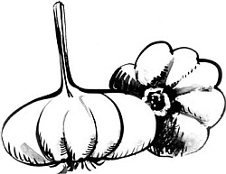 Иллюстрация к книге — Питание и долголетие [_126.jpg]