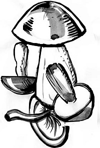 Иллюстрация к книге — Питание и долголетие [_18.jpg]