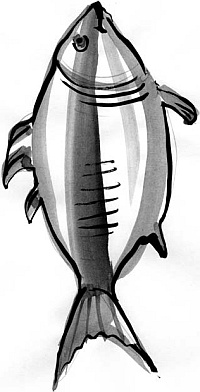 Иллюстрация к книге — Питание и долголетие [_22.jpg]