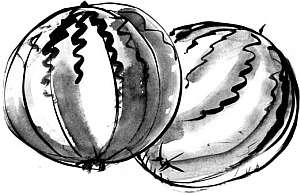 Иллюстрация к книге — Питание и долголетие [_64.jpg]