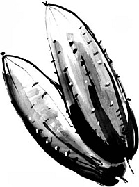 Иллюстрация к книге — Питание и долголетие [_84.jpg]