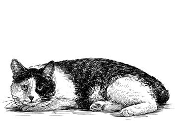 Иллюстрация к книге — Простишь — не простишь [i_010.jpg]