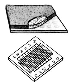 Иллюстрация к книге — Секретные инструкции ЦРУ и КГБ по сбору фактов, конспирации и дезинформации [i_066.jpg]