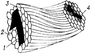 Иллюстрация к книге — Секретные инструкции ЦРУ и КГБ по сбору фактов, конспирации и дезинформации [i_111.jpg]