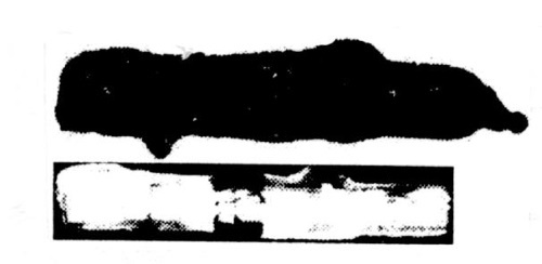 Иллюстрация к книге — Секретные инструкции ЦРУ и КГБ по сбору фактов, конспирации и дезинформации [i_258.jpg]