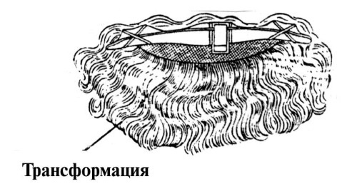 Иллюстрация к книге — Секретные инструкции ЦРУ и КГБ по сбору фактов, конспирации и дезинформации [i_264.jpg]