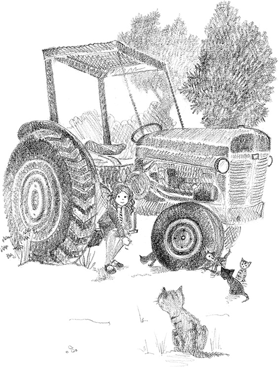 Иллюстрация к книге — Котенок Рыжик, или Как найти сокровище [i_003.jpg]