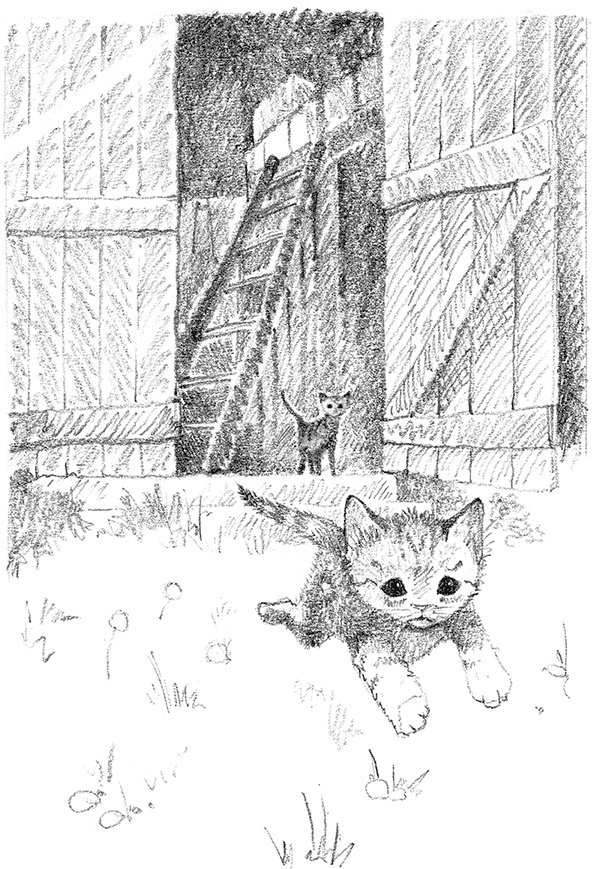 Иллюстрация к книге — Котенок Рыжик, или Как найти сокровище [i_009.jpg]