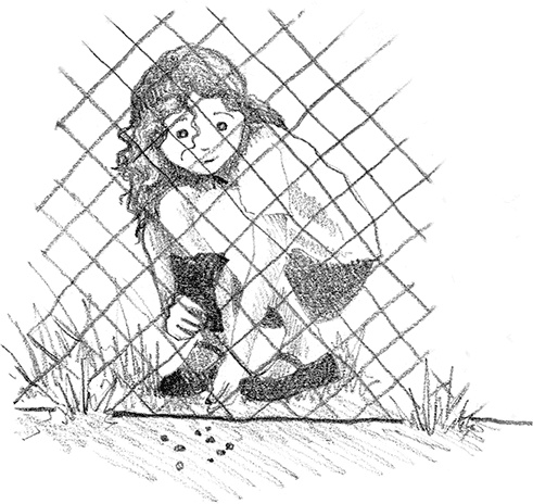 Иллюстрация к книге — Котенок Рыжик, или Как найти сокровище [i_017.jpg]