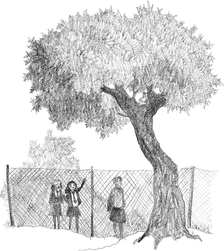 Иллюстрация к книге — Котенок Рыжик, или Как найти сокровище [i_022.jpg]