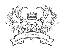 Иллюстрация к книге — Таро Ангелов-Хранителей. Помощники и защитники человека. [i_023.jpg]