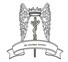 Иллюстрация к книге — Таро Ангелов-Хранителей. Помощники и защитники человека. [i_060.jpg]