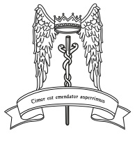 Иллюстрация к книге — Таро Ангелов-Хранителей. Помощники и защитники человека. [i_063.jpg]