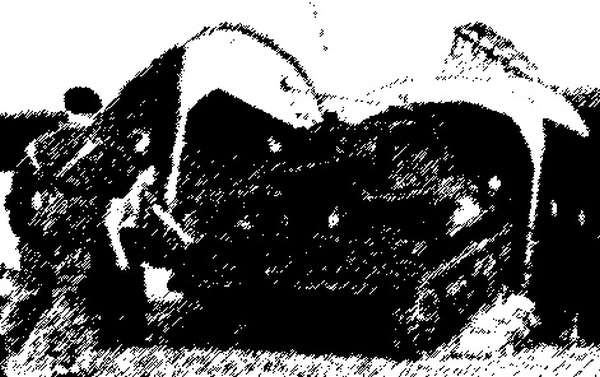 Иллюстрация к книге — Боевая подготовка ВДВ. Универсальный солдат [block_001416_page_013_image_0001.jpg]