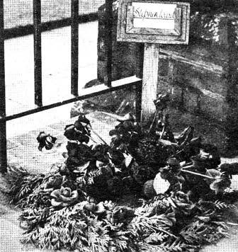 Иллюстрация к книге — Шпион номер раз [_49.jpg]